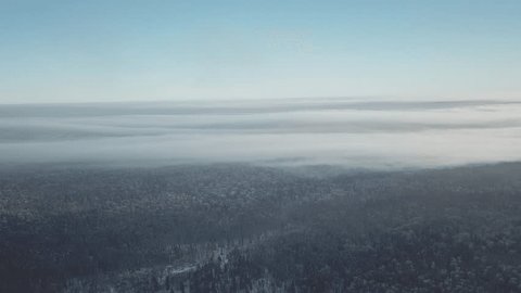 Aerial Drone View of Misty Winter Forest