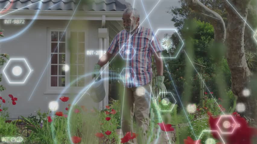 Senior man walking to bed, pouring water from can while hexagon overlay aligning for home gardening. Elderly, gardener, outdoor, garden, frontyard, daylight, tranquil