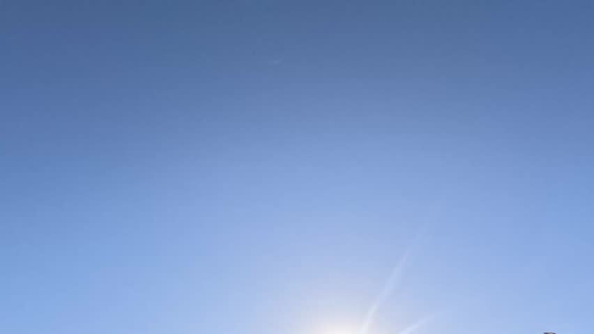 A pair of pigeon birds fly across the bright blue sky in slow motion, moving from bottom left to center, approaching each other closely,