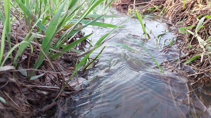 Horizontal video of water flowing through rice field irrigation in rural Thailand countryside