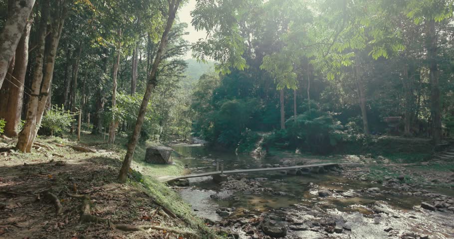 Tropical river flows through dense green forest under small wooden bridge. Sunlight filters through trees creating natural lens flare. Peaceful jungle landscape in Southeast Asia.