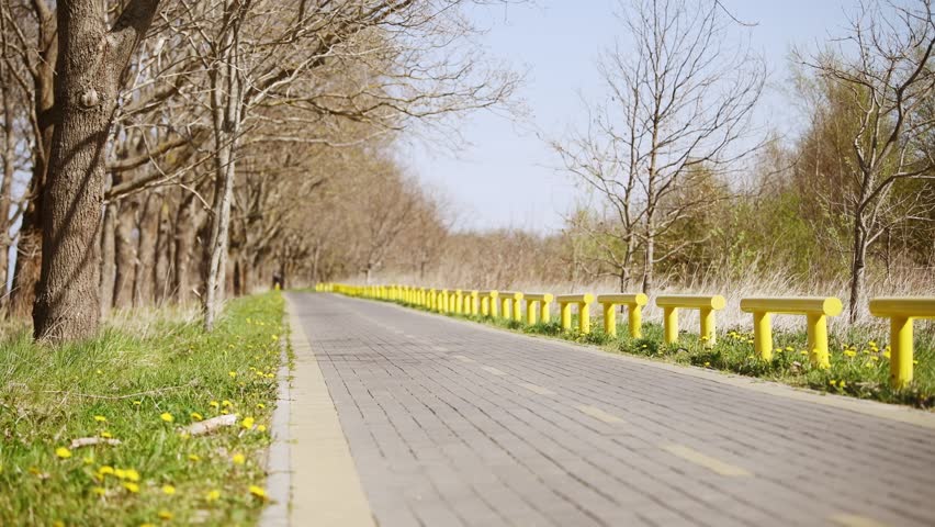 Young female cyclist with brown hair riding black bicycle along paved path flanked by leafless trees and scattered yellow flowers under clear blue sky.