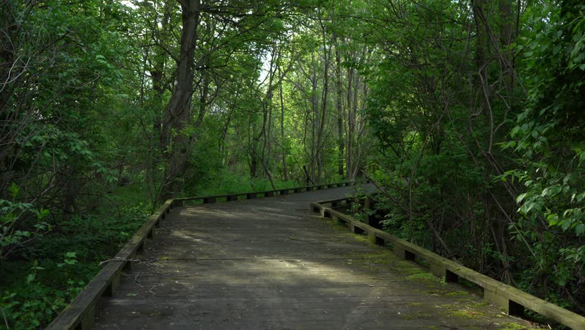 A man walking along a path through the woods in the early morning