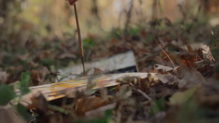 The artist paints a landscape of a forest on the ground among fallen leaves