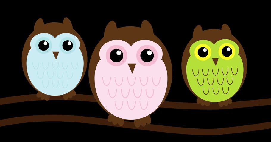 Three cute cartoon owls sit side by side on a branch. Each owl has unique color: blue, pink, and green. They all look happy, curious, and alert. Owls have big eyes and soft feathers