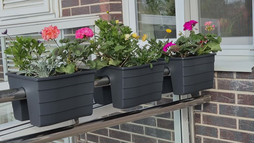 Potted flowers on the outside of the house
