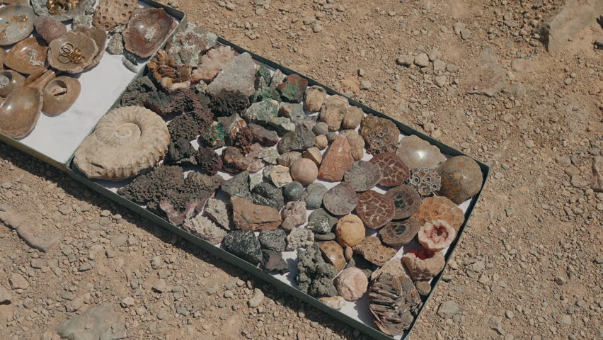 Collection of ammonite fossils minerals and polished stones displayed on tray for sale on desert ground near Erfoud