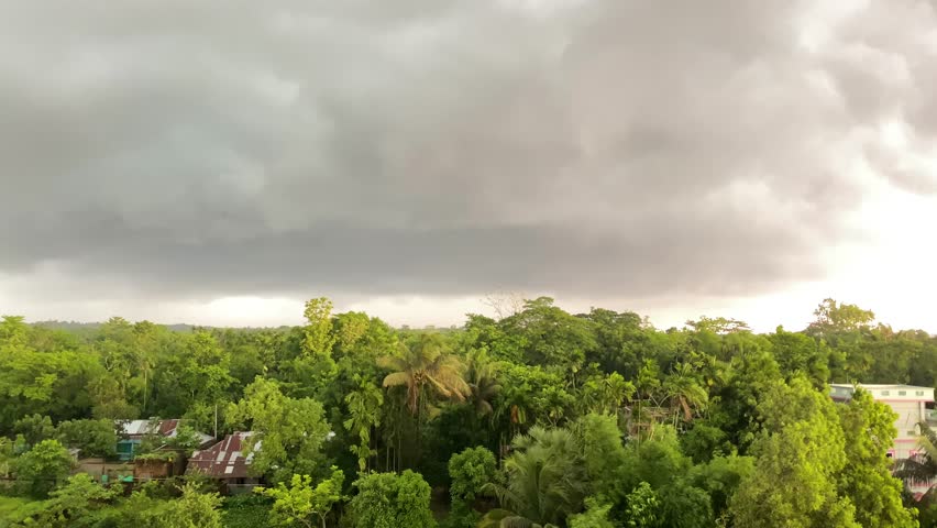 Storm clouds with heavy wind over forest at a coastal village of Bangladesh - static shot.