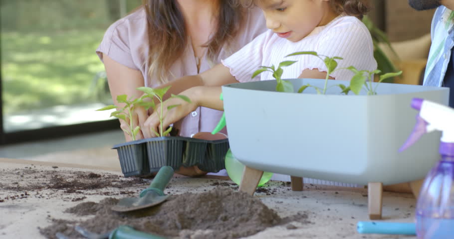 Family guiding child on patio mom holding tray while child placing seedlings into planter learning. Gardening, planting, container, soil, trowel, joy, sunroom