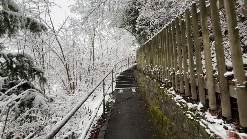 This scene depicts a snow covered outdoor stairway flanked by trees and a retaining wall.