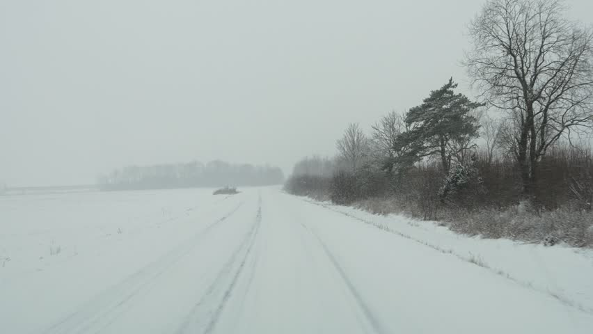 Snowy country road in rural Latvia bordered by trees and fields in winter landscape scene