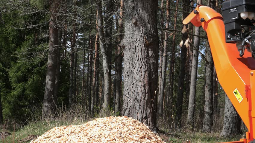 Wood chipper machine actively chipping tree branches into wood chips in a forested setting