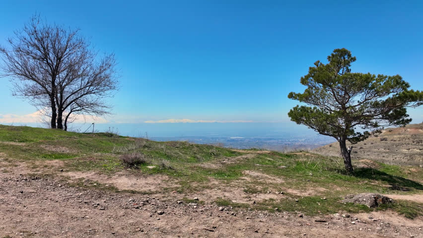 Clear blue sky above rolling hills and distant snow-capped mountain. Two trees stand on grassy slope overlooking valley. Landscape shows mixed green and brown terrain