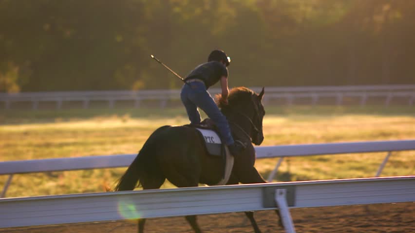 Horse and jockey galloping away in the sunlight