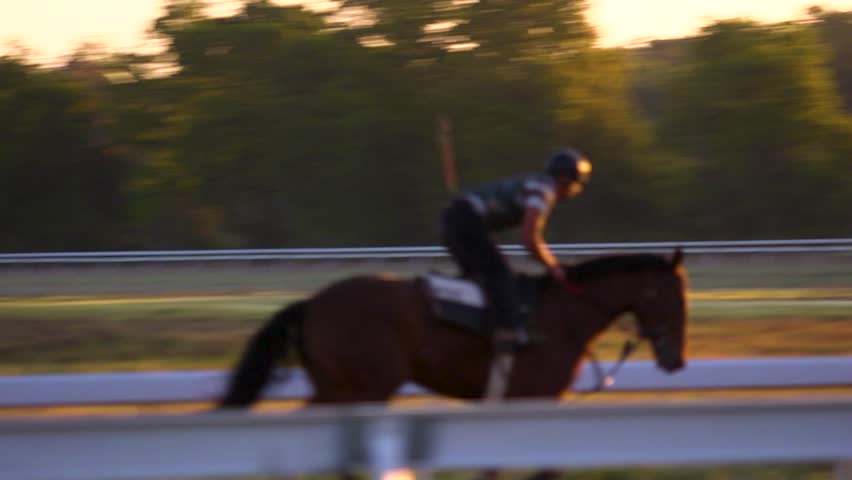Horse and jockey running in the morning light flare