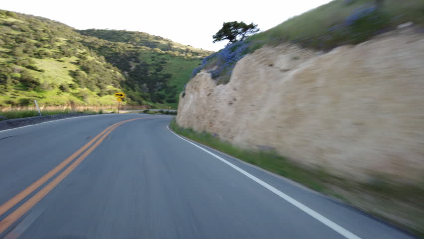 Carrizo Plain Highway 58 East Mountain Canyon 06 Front View Driving Plates of Wild Flowers Super Bloom in California USA