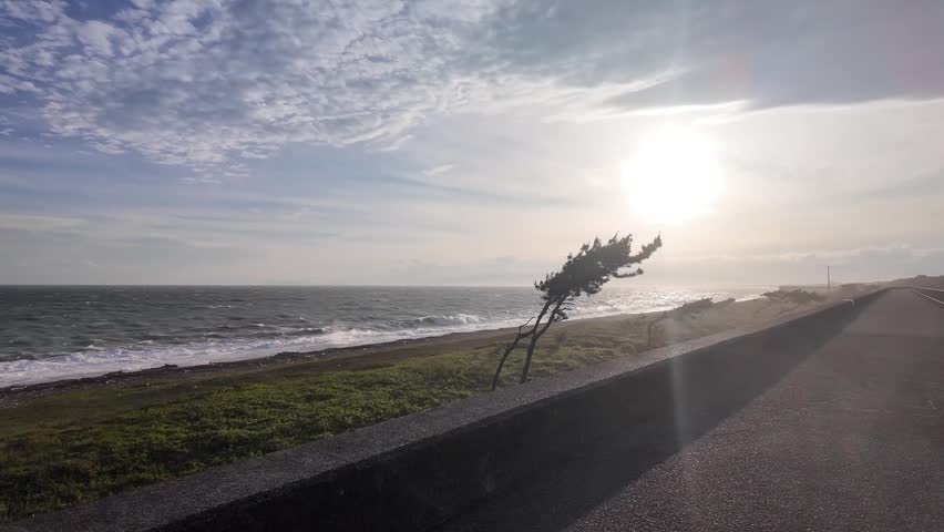 Dramatic seaside landscape facing the sun with strong coastal winds, ocean waves, and a lone wind-blown tree under a glowing sky.