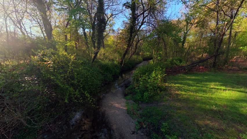 A low altitude FPV view flying over a shallow stream under trees in Valley Stream State Park on a sunny day. The camera dolly in following the path of the narrow stream.
