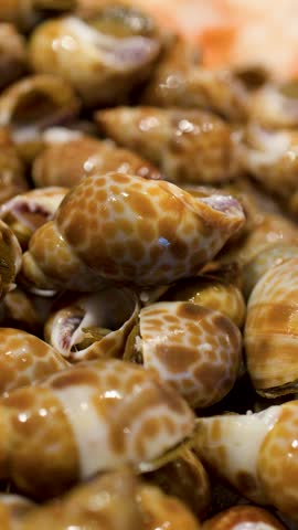 Close-up shot of metal tongs selecting sea snails from a chilled seafood buffet display