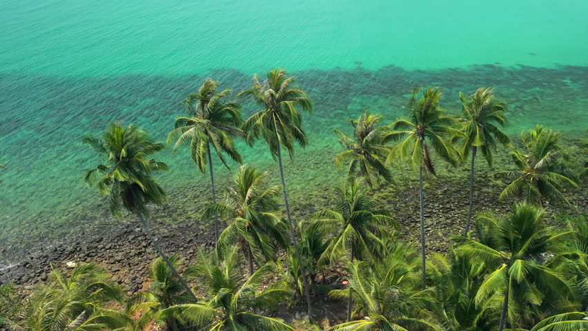 Aerial view of a beautiful tropical island coastline with clear turquoise water, white sand beach, and lush green palm trees.