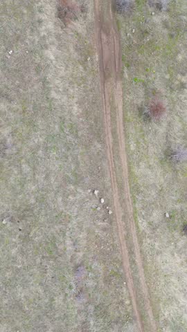 Top View of Rural Dirt Road Crossing Dry Grassland Terrain