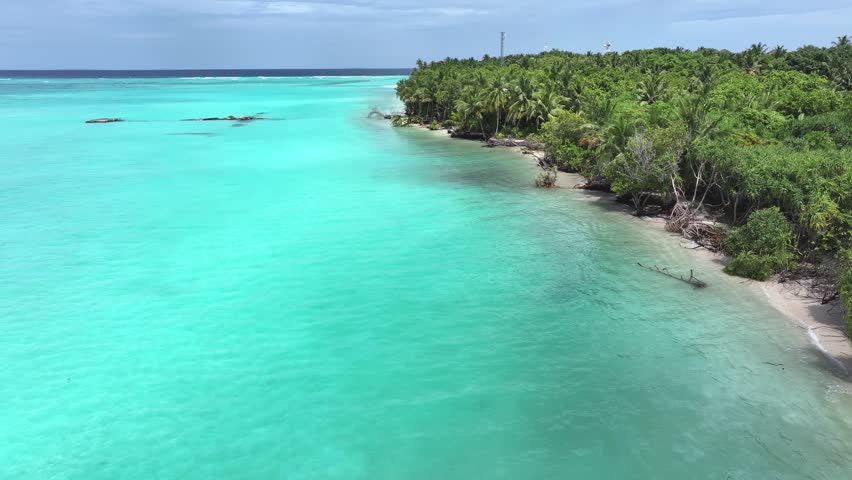 Aerial view of a tropical island coastline with dense palm trees and crystal clear turquoise water in Bileffahi, Shaviyani Atoll, Maldives.