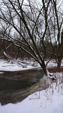 Tranquil Snowy Forest Along Flowing River in Courtice Ontario Canada