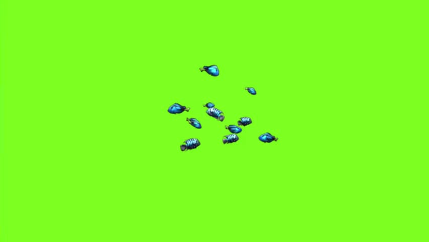 Small blue fish swimming in a shoal isolated on green screen background