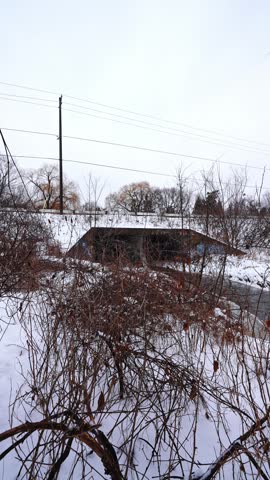 Frozen Winter Forest with River Flowing Through Snow in Courtice Park