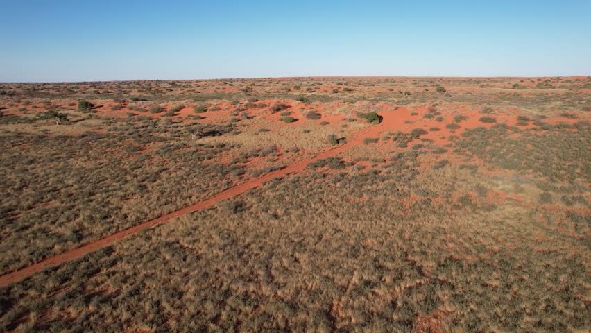The Red Sands of the Kalahari Desert