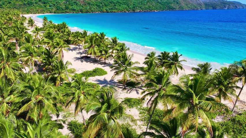 Tropical paradise landscape of a Caribbean beach. Sea waves on a beach with coconut palms. A picturesque and tranquil backdrop of the seaside, ideal for a summer holiday. A journey to a tropical paradise.