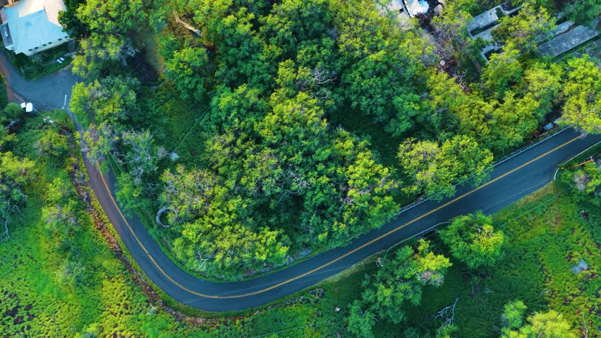 Aerial view of a winding asphalt road through lush tropical vegetation and dense green trees near Mahukona Beach Park in Waimea, Hawaii, United States.