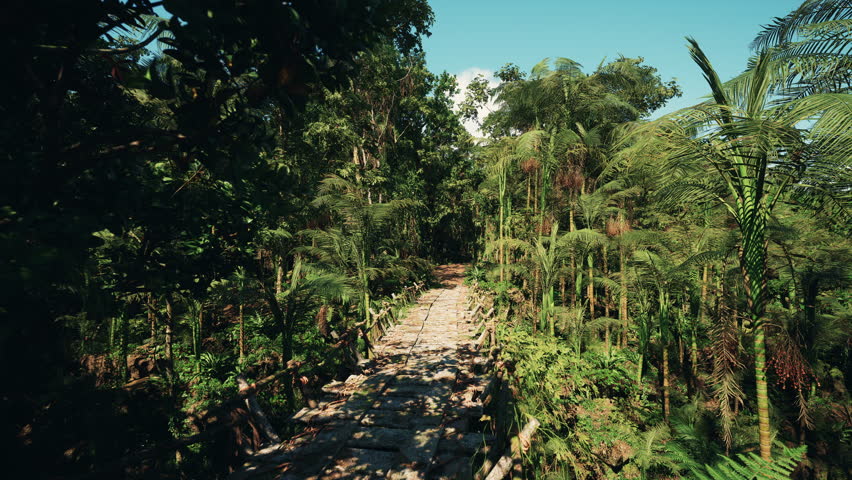 narrow secluded corridor of trees forming sheltered green tunnel, filtered light and compact foliage, intimate nature scene ideal for quiet reflection and slow