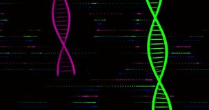 Data feed initiating genomics data map, sharpening as magenta green helices rotating amid scanlines. Globe, dna, hexagon, circuit, glitch, neon, digital - Powered by Shutterstock - Get 15% off with code: PIKWIZARD15