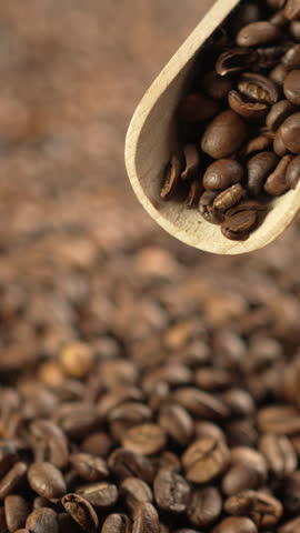 Scooping roasted coffee beans with wooden scoop, close-up.
