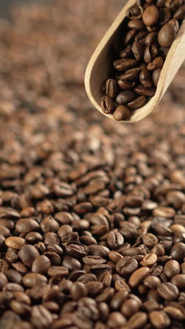 Scooping roasted coffee beans with wooden scoop, close-up.