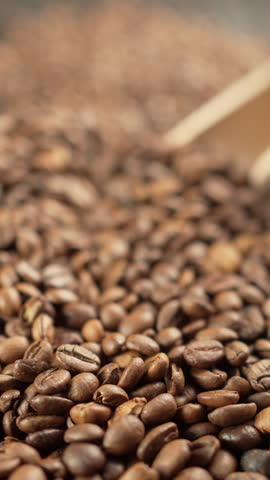 Scooping roasted coffee beans with wooden scoop, close-up.