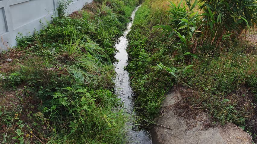 A natural water flow channels