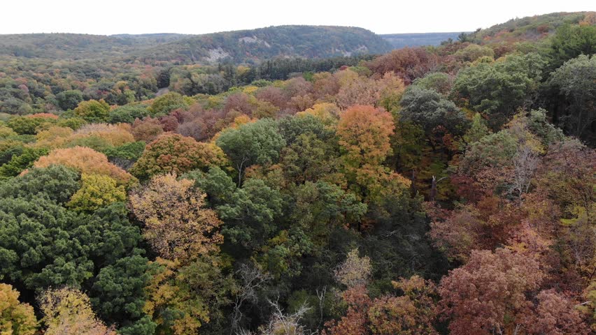 Fall Foliage from Above - Scenic Wisconsin Autumn Landscape 
