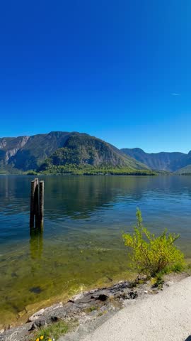 Tranquil lake shore under clear blue skies in summer.