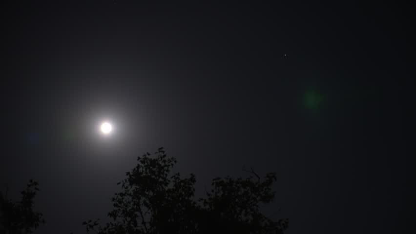 Glowing moon above trees and starry night sky creating peaceful natural atmosphere with bright moonlight and dark cosmic background