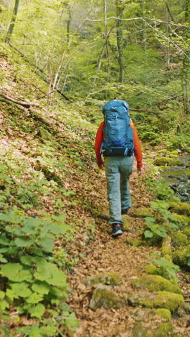 A young hiker with a backpack treks along a mossy forest trail, the vibrant greenery of springtime enveloping them. The flowing water beside the path adds to the serene, natural atmosphere.