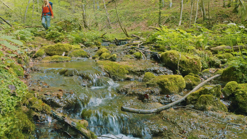 A lone hiker, a caucasian woman with blonde hair, treks along a forest path beside a clear, flowing stream. The lush greenery and moss-covered rocks highlight the serene.
