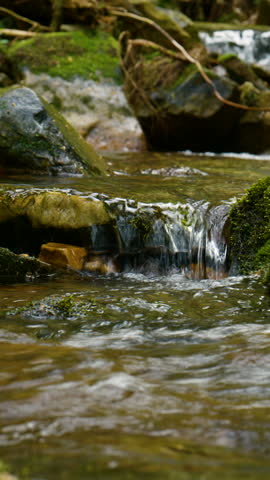 Mountain stream flowing through mossy rocks in natural woodland, clear running water creating peaceful wilderness scenery