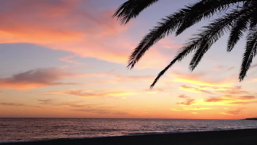 Palm trees against backdrop of sunset over sea. Golden pink sunset at sout Spain. Mediterranean Sea, Waves roll onto sandy beach.