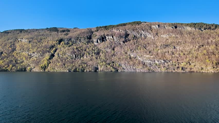 Steep Rocky Mountain Cliff with Forest Rising from Calm Blue Water in Norwegian Fjord
