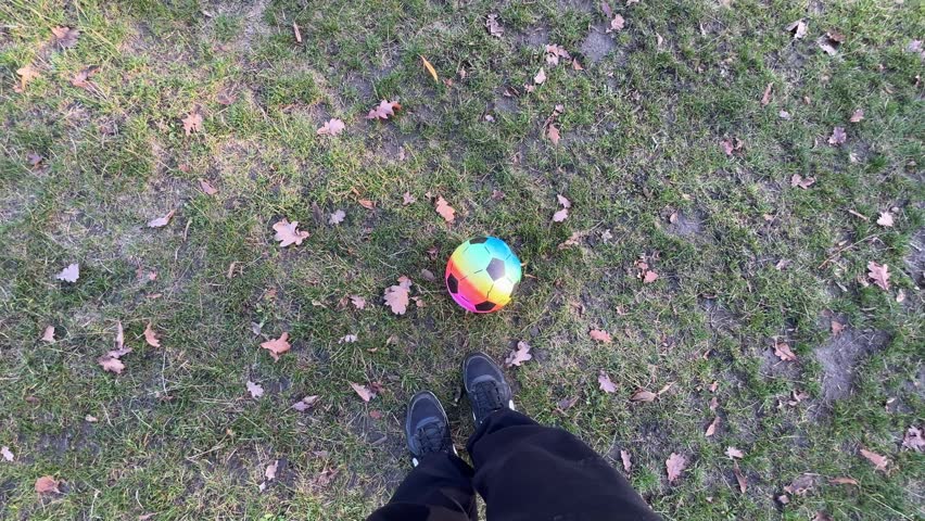 Young mother and her toddler daughter playing with a colorful ball on a green meadow in a park.