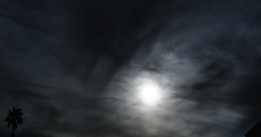 Frozen sun in an atmospheric sky with a solitary sentinel in the form of a palm tree embracing the coming darkness.