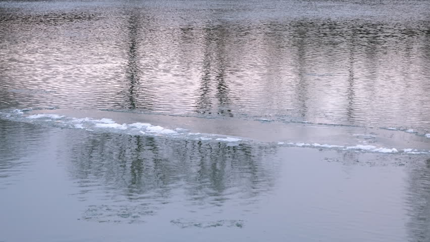 Winter river ice flowing with trees reflecting on water. Cold winter river water flowing slowly with melting ice floes moving across the surface, creating a beautiful and serene natural background