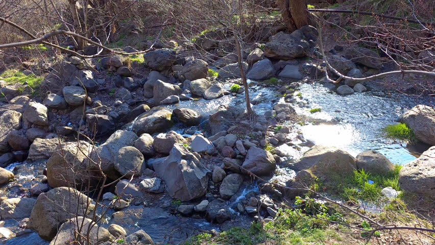 Clear stream flows over rocks in forest. Sunlight glints on water surface. Bare branches stretch above stream. Green moss grows between stones